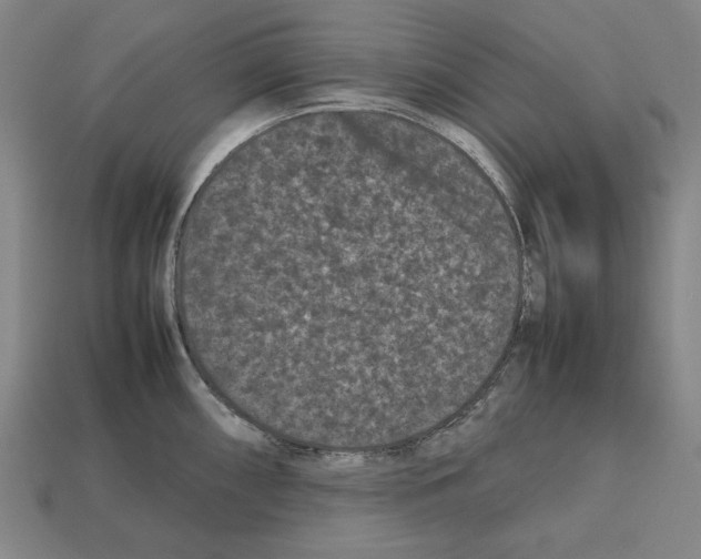 X0000112511098200909280950