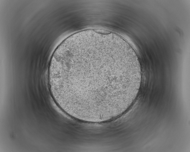 X0000112511100200909280950