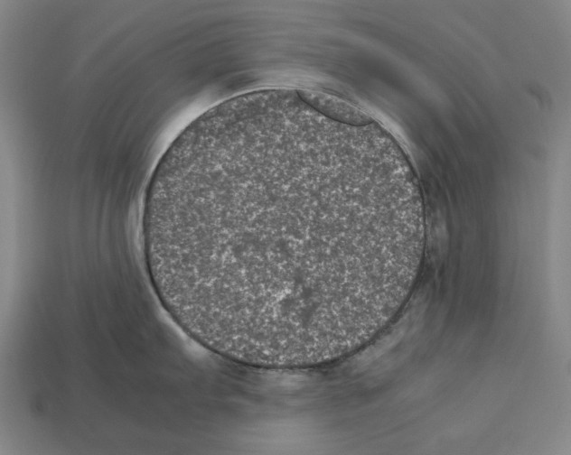 X0000112511103200909280950