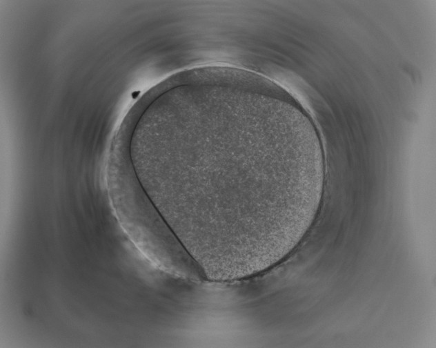 X0000112511104200909280950