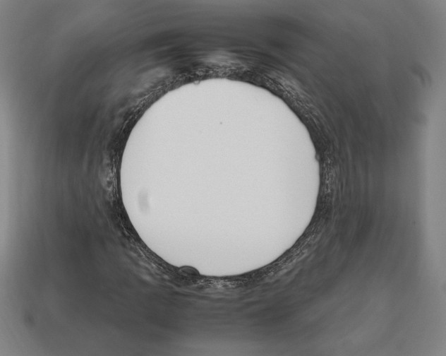 X0000112511109200909280949