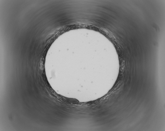 X0000112511110200909280949