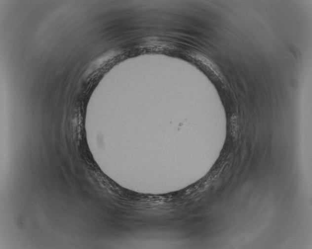 X0000112511111200909280949