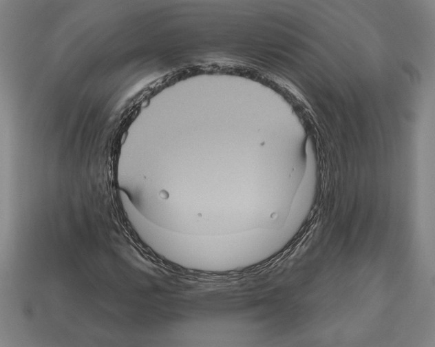 X0000112511112200909280949