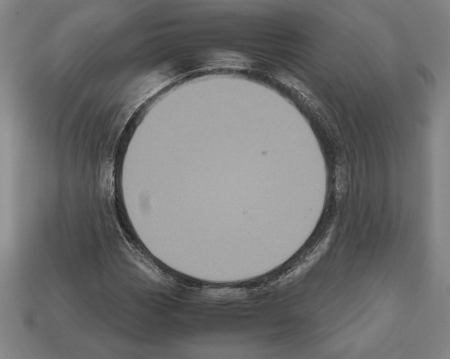 X0000112511113200909280949