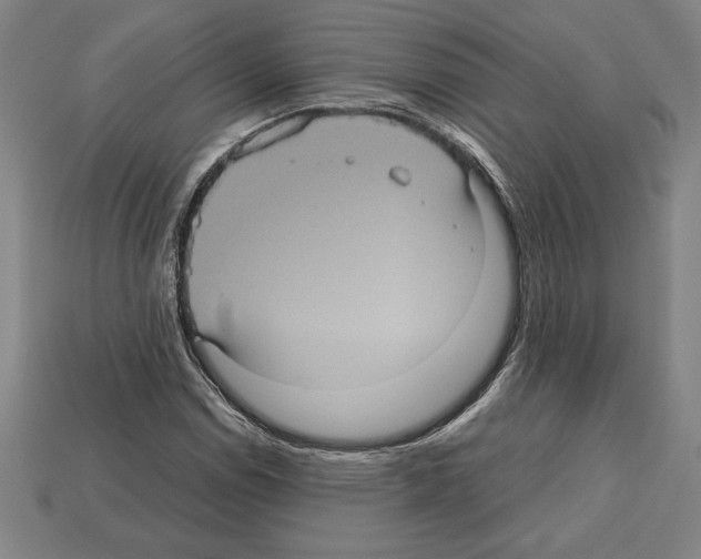 X0000112511114200909280949