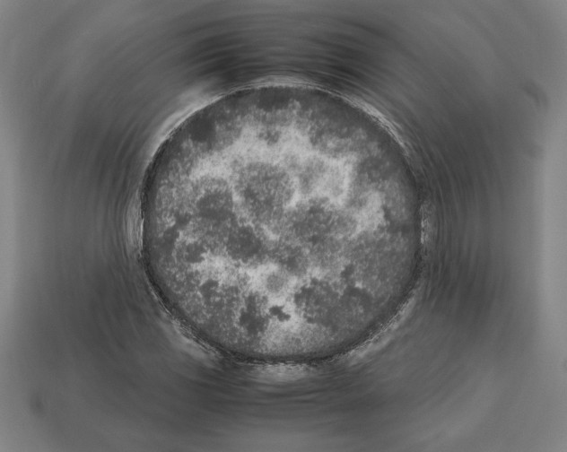 X0000112511117200909280949