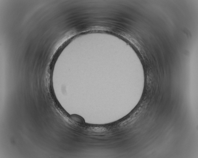 X0000112511119200909280949