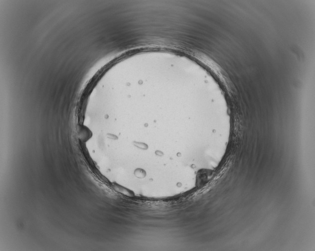 X0000112511120200909280949