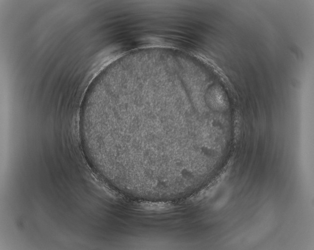 X0000112511121200909280949