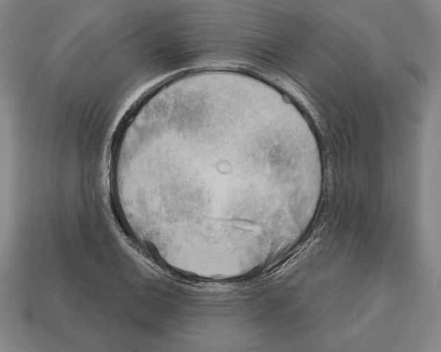 X0000112511124200909280949