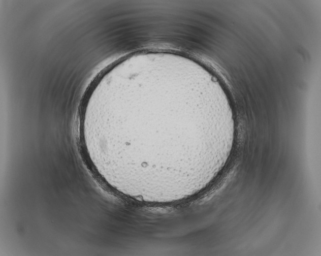 X0000112511125200909280949