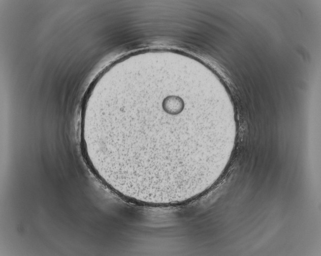 X0000112511126200909280949