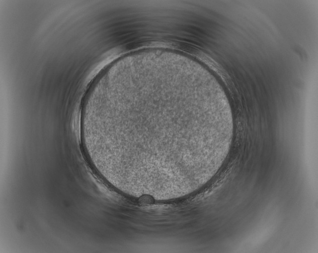 X0000112511127200909280949