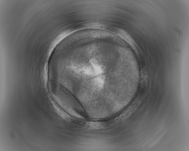 X0000112511128200909280949