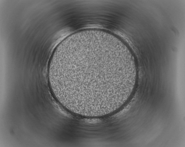 X0000112511129200909280949