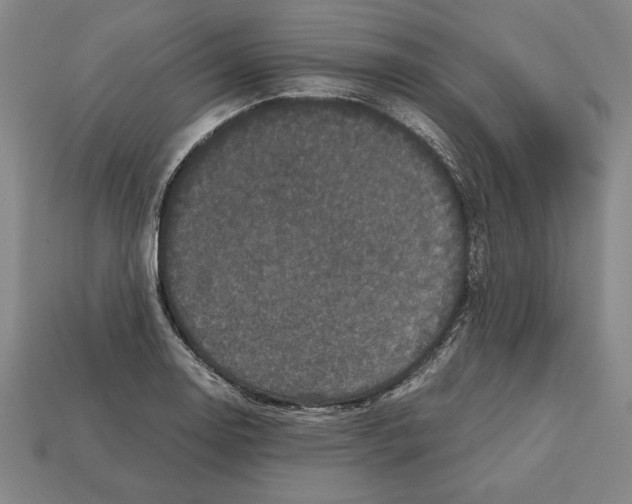 X0000112511130200909280949