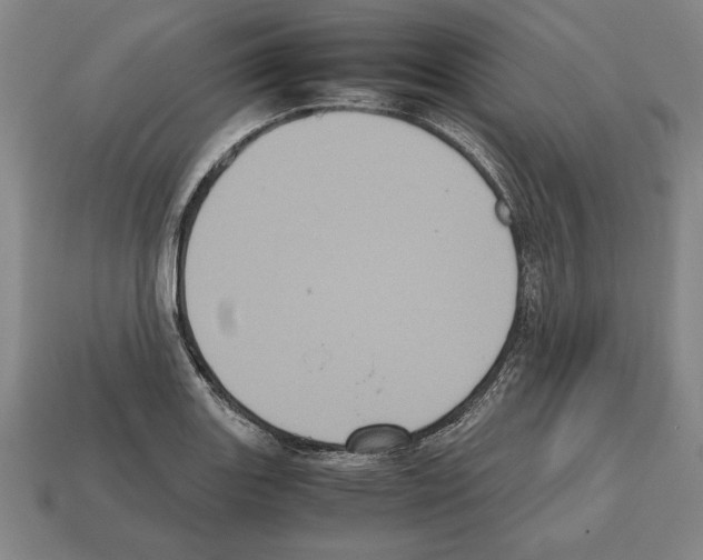 X0000112511131200909280949