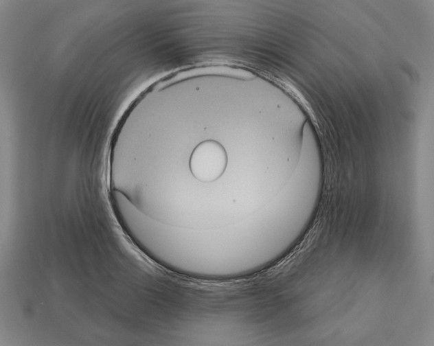 X0000112511132200909280950