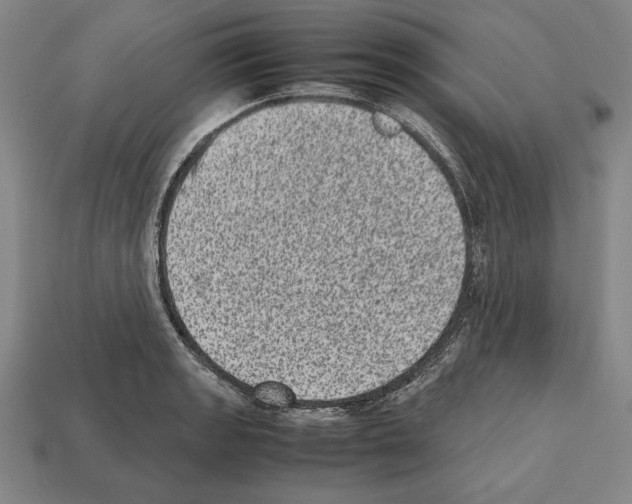 X0000112511133200909280950