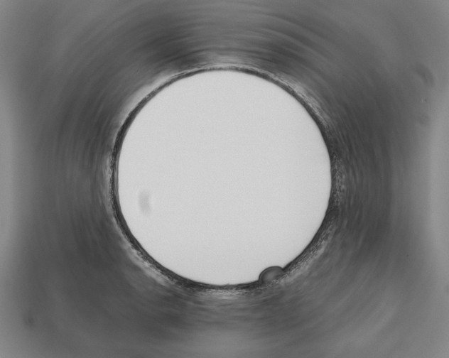 X0000112511134200909280950