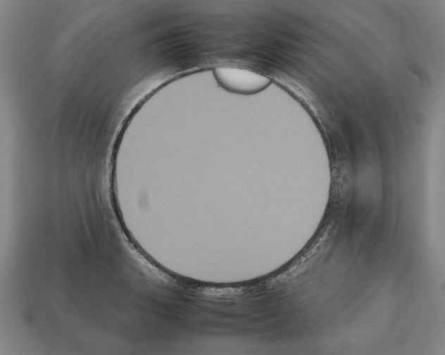 X0000112511135200909280950