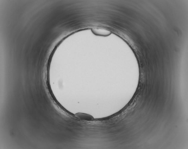 X0000112511136200909280950