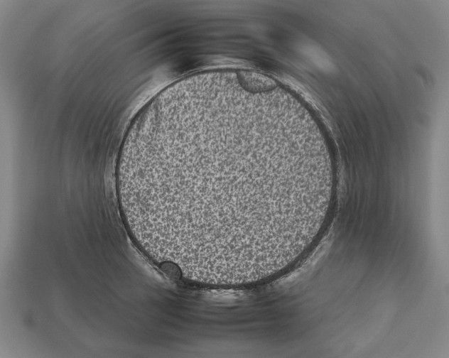 X0000112511137200909280950