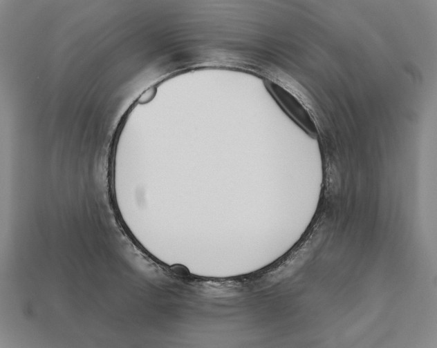 X0000112511138200909280950