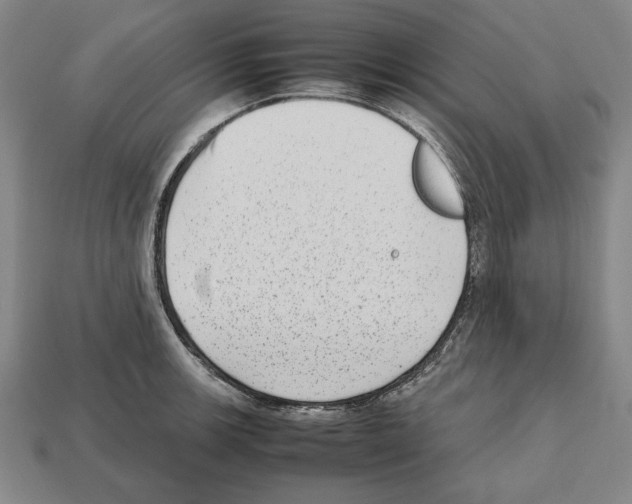 X0000112511139200909280950