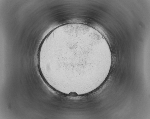 X0000112511141200909280950