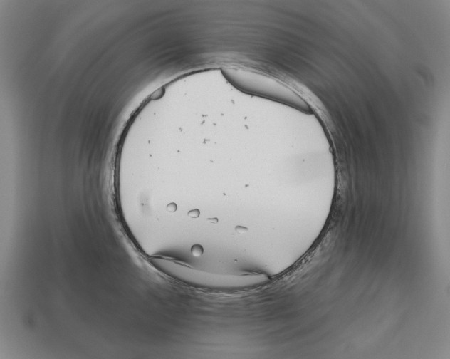 X0000112511144200909280950