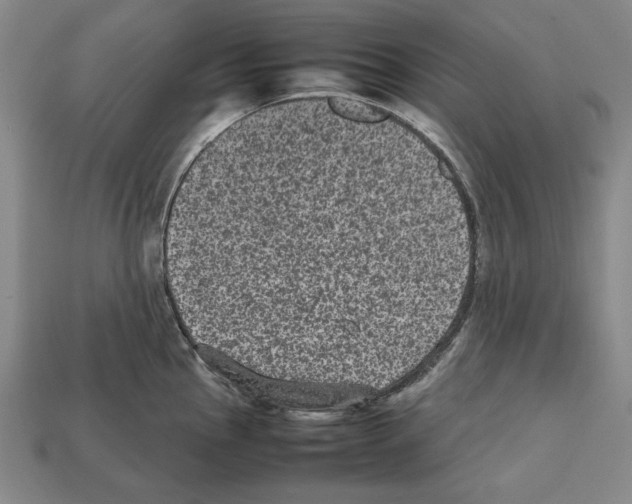 X0000112511145200909280950