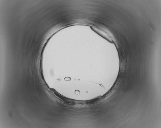 X0000112511146200909280950