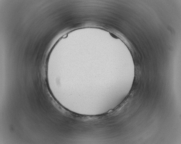 X0000112511148200909280950