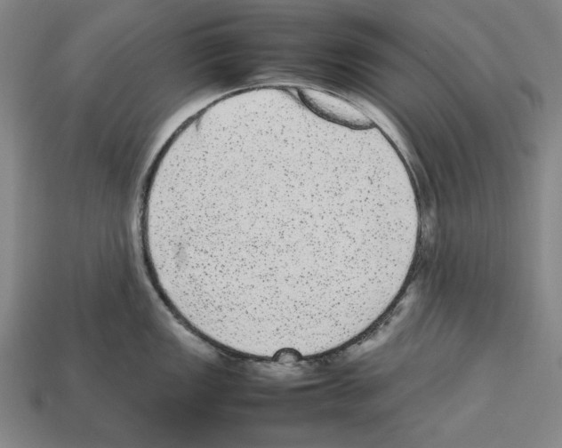 X0000112511149200909280950