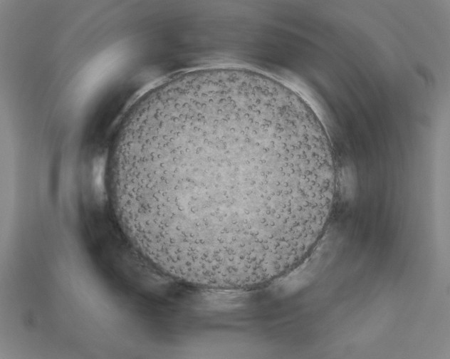 X0000112511150200909280950