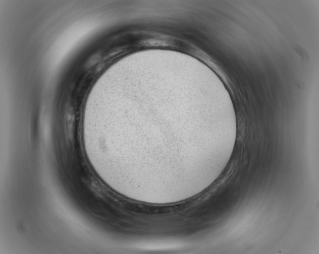 X0000112511151200909280950