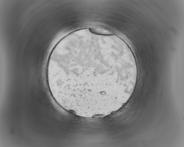 X0000112511152200909280950