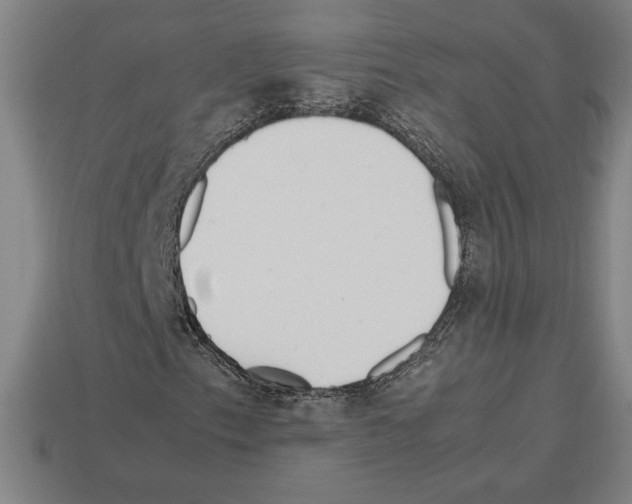 X0000112511153200909280949