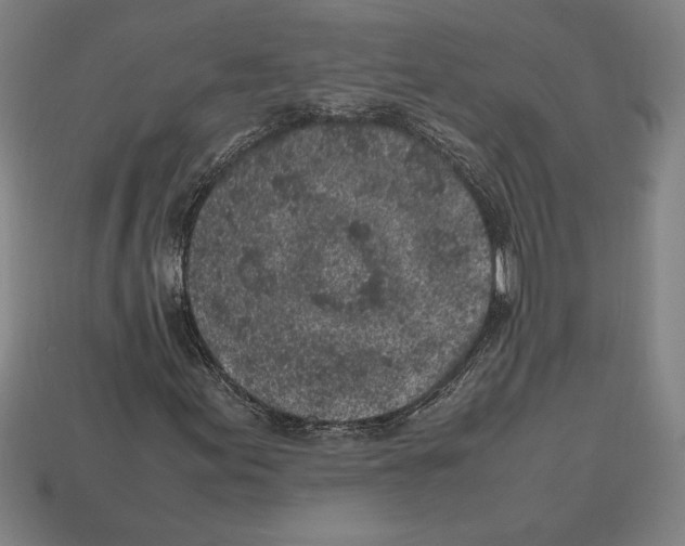 X0000112511155200909280949