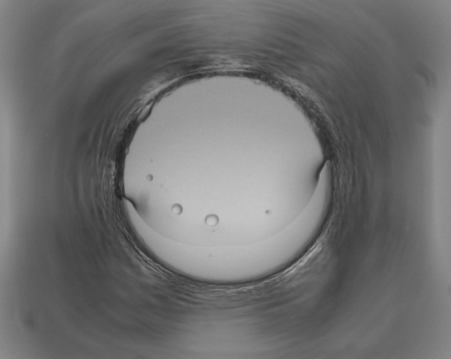 X0000112511161200909280949