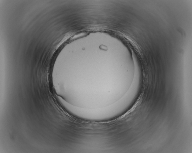 X0000112511162200909280949