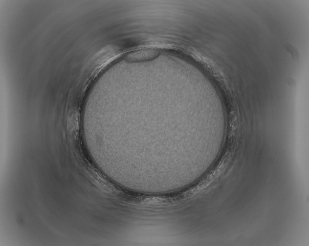 X0000112511169200909280949