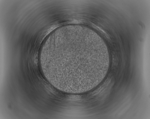 X0000112511170200909280949