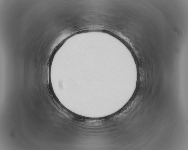 X0000112511171200909280949