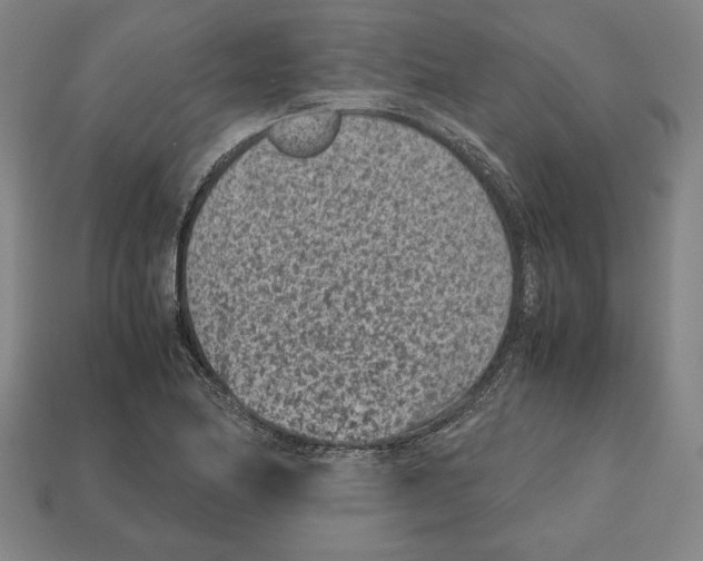 X0000112511174200909280949