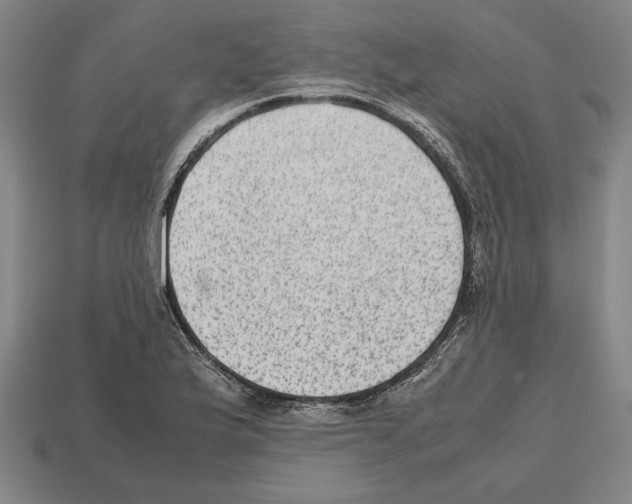 X0000112511175200909280949