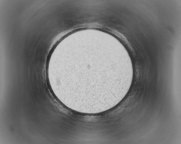 X0000112511176200909280949