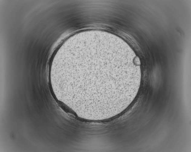 X0000112511180200909280949